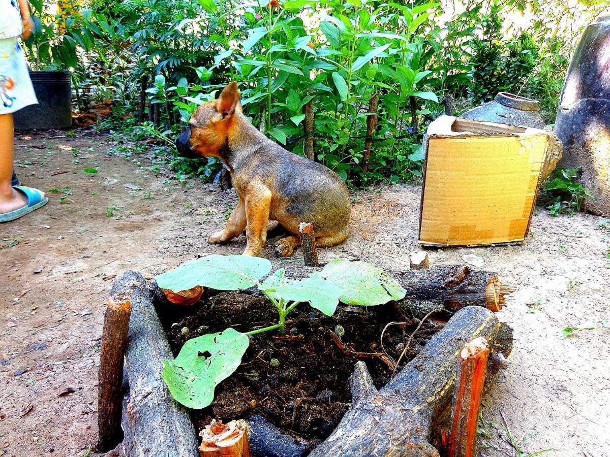 Coco Happy Farm Villa Ben Tre Exterior photo