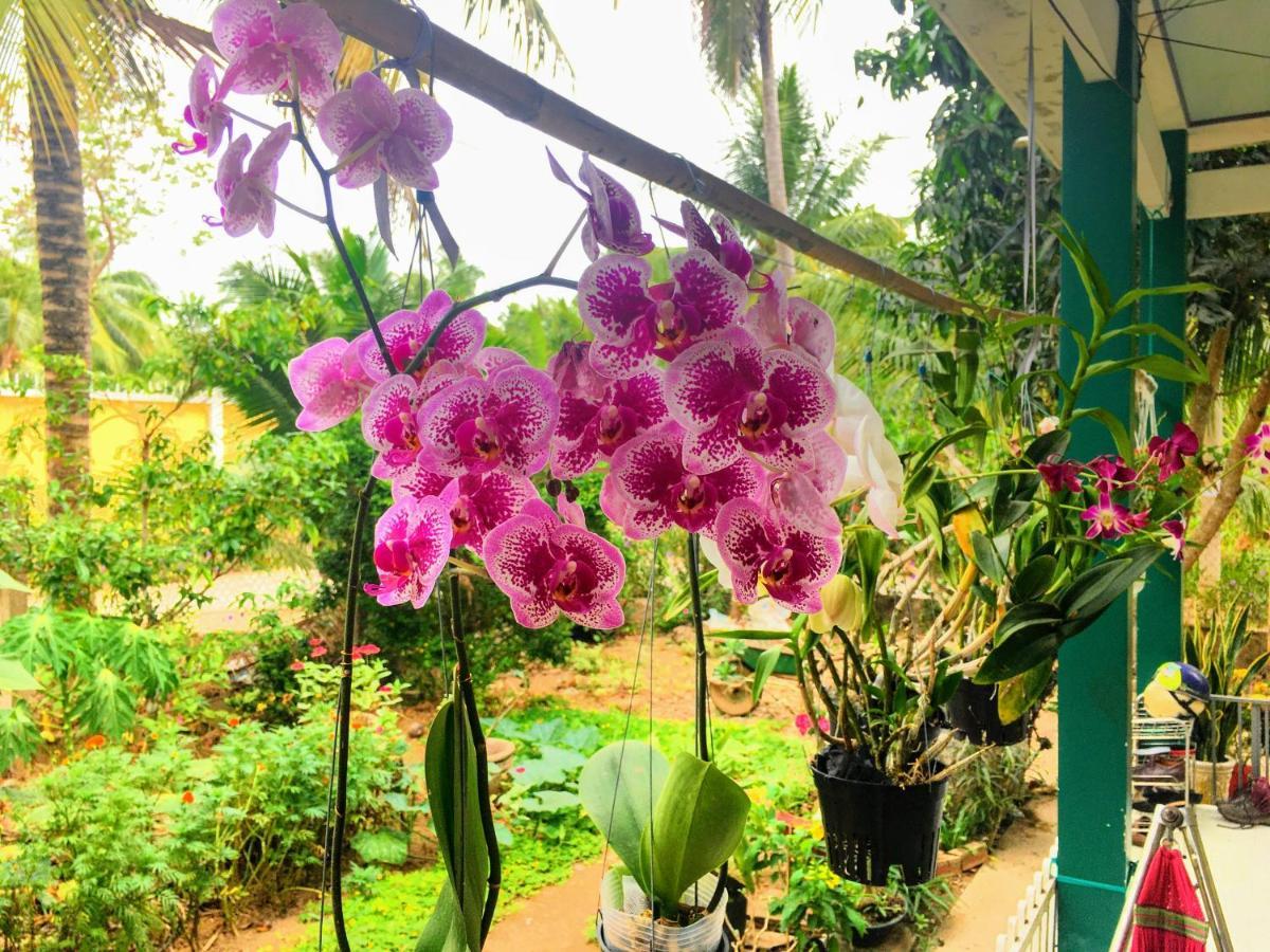 Coco Happy Farm Villa Ben Tre Exterior photo