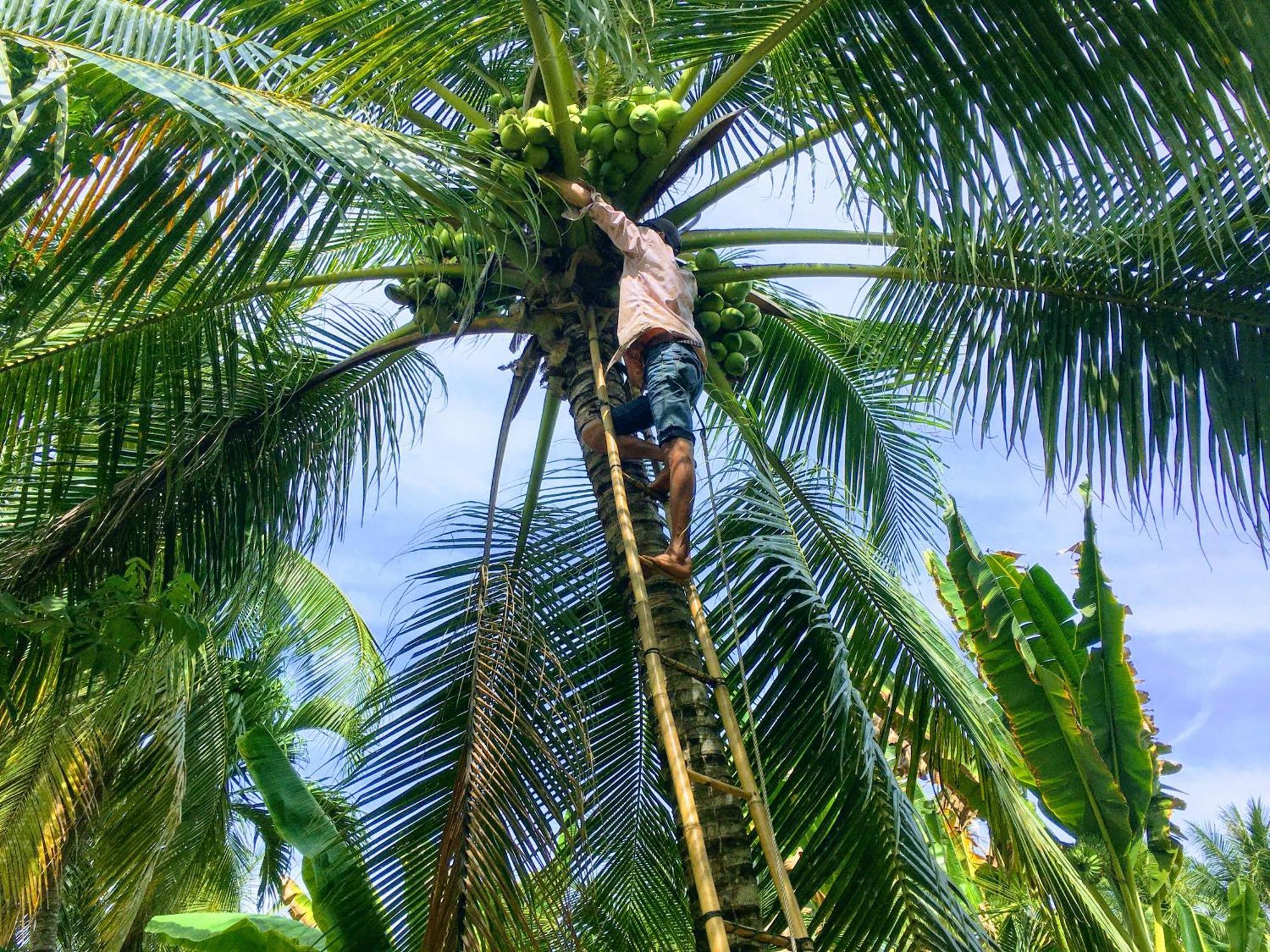 Coco Happy Farm Villa Ben Tre Exterior photo
