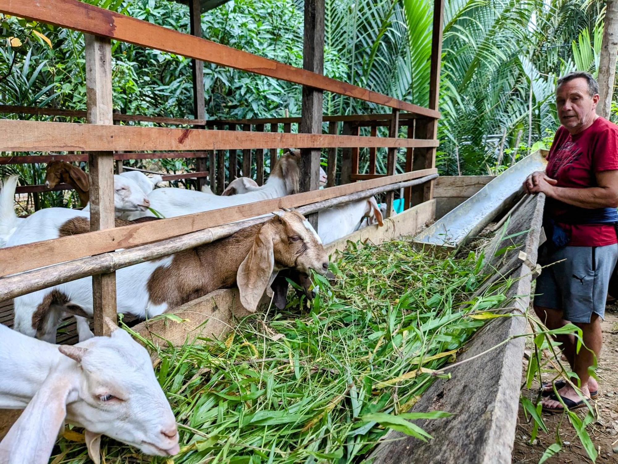 Coco Happy Farm Villa Ben Tre Exterior photo